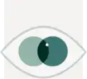 eyes eyes